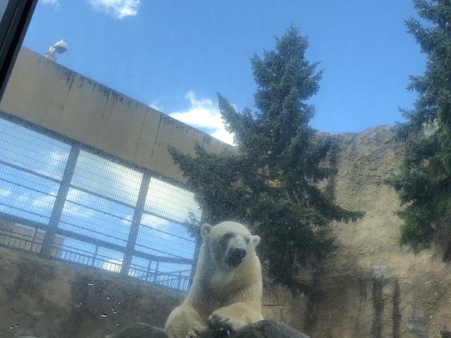 ���낭��_���R������