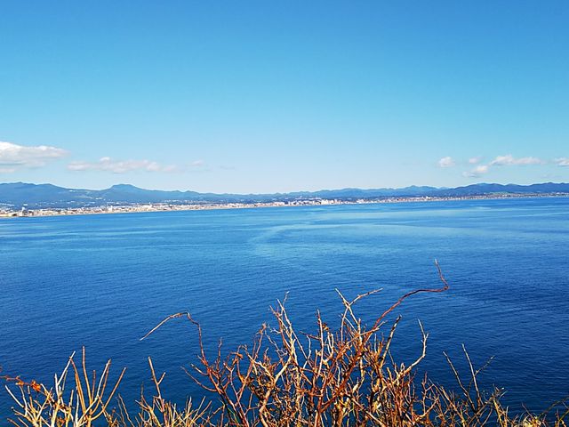 ���̐쉷�����_���Җ�