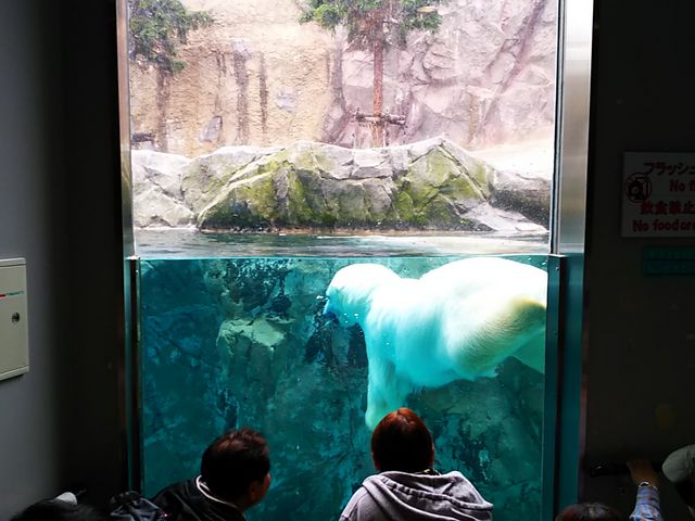 �z�b�L���N�O�}_���R������