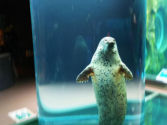 �A�U���V_���R������