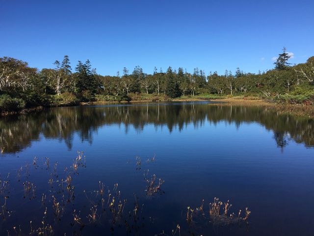 ���̂悤�ɌΖʂɉf��؁X_�_���