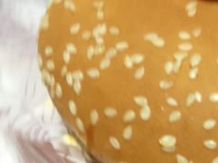 �}�������񂳂�̃}�N�h�i���h�]�쐼�A�s�^�X�ւ̓��e�ʐ^1