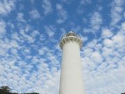 �Ă�������̖�ԍ铔��̓��e�ʐ^3