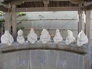 arajiba̔򎛂̓eʐ^1