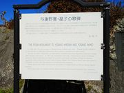 ˂񂳂̗^Ӗ슰Eq̉̔̓eʐ^1