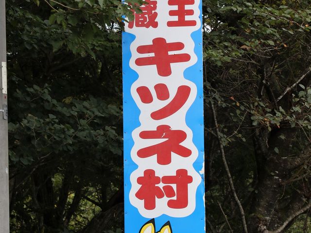 �L�c�l���Ŕ�_�����c����