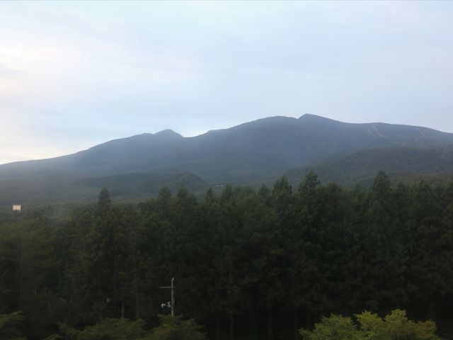 �����c�����葠����]��_�����c����