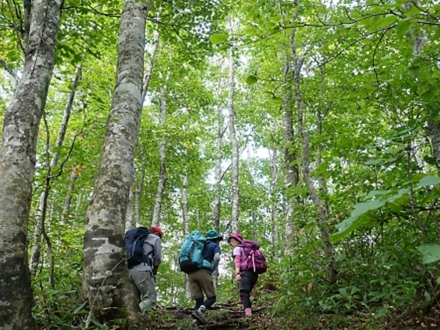 �x����̔L�����x��܂т��T���H�̓��e�ʐ^1