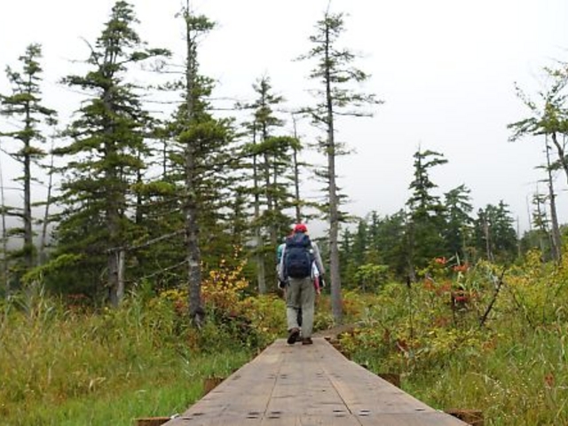 �V�����������ؓ�_�f�R������