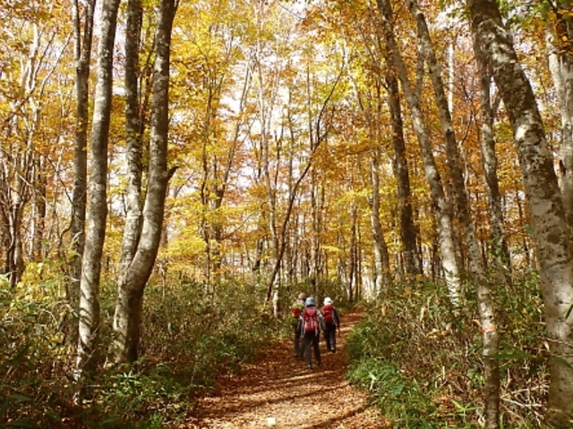 �֒�R����̔������g�t�̐X_�֒�R