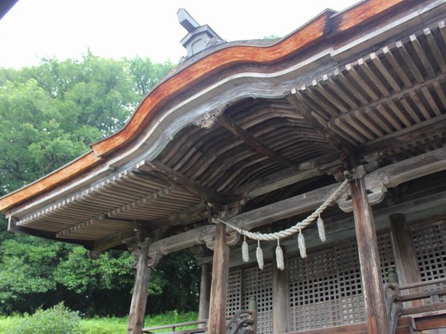 ���̏d�v�������Ɏw�肳��Ă���{�a�B_���J��{�����{