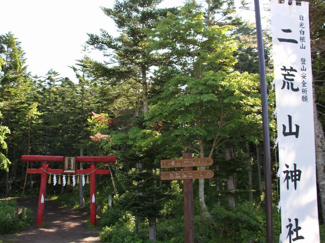 oR̓rR_ЂœoR̖F肵܂B_R