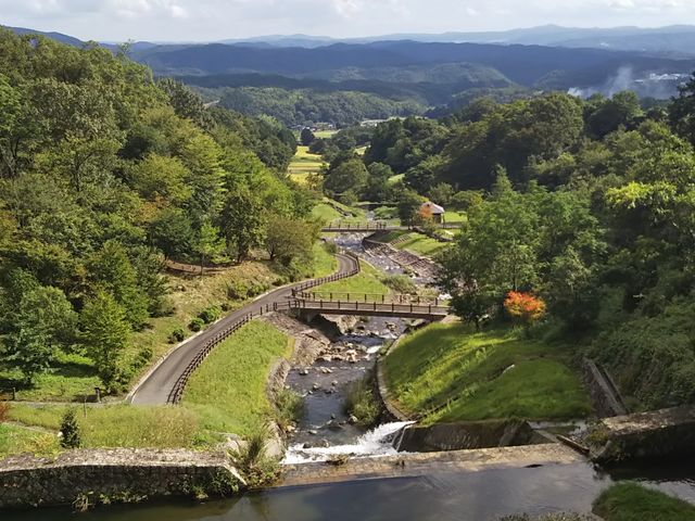 hy0331̓ߊR[R̉w̓eʐ^2