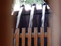 V񂳂̓̏h ւ̓eʐ^4