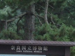 sumi̓ޗǍقւ̓eʐ^1