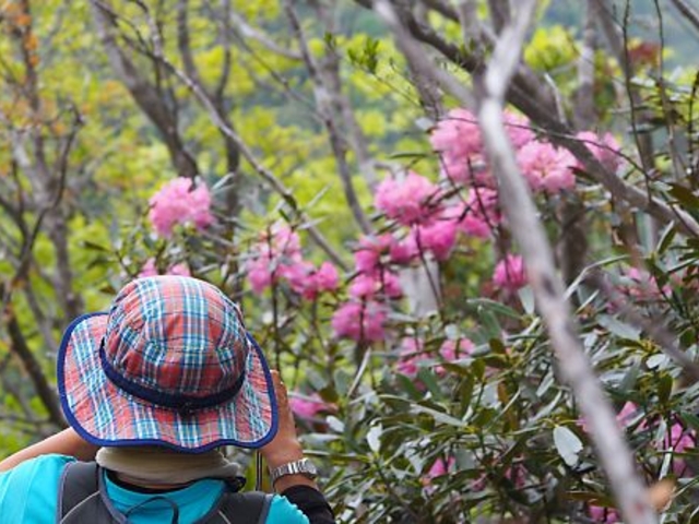 x̔ǎRñVNiQ̓eʐ^2