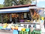 Ƃ񂳂̂Ƃ낱X̓eʐ^2