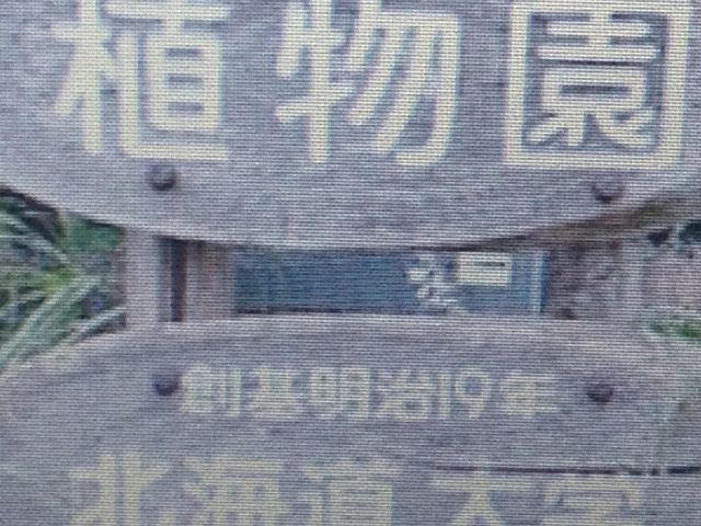 �A����_�k�C����w�A����