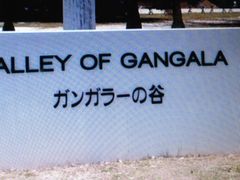 Ё[񂳂̃KK[̒Jւ̓eʐ^1