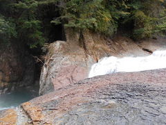 �g�V���[����̖���̑�ւ̓��e�ʐ^1