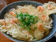 ������̎������̓��e�ʐ^2