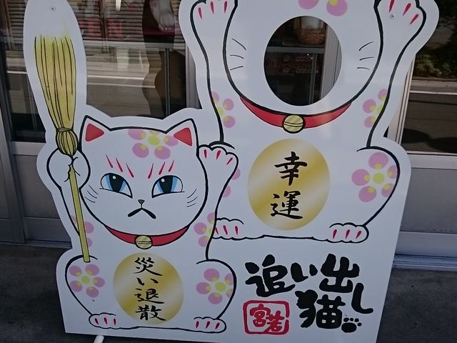 �{��s�̊�o���p�l��_�e�c�������