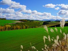 䂳̃TCNOcA[/Xm[V[cA[т̃KChւ̓eʐ^1