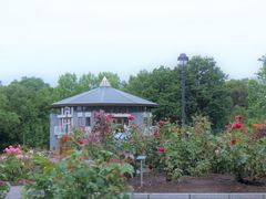 ꂱ̃[YK[fՂׂւ̓eʐ^3