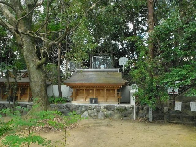 {ảɂ͏VЁEVЁE{ЁEVЂт̉ɂ͋̌FÓ_VF_