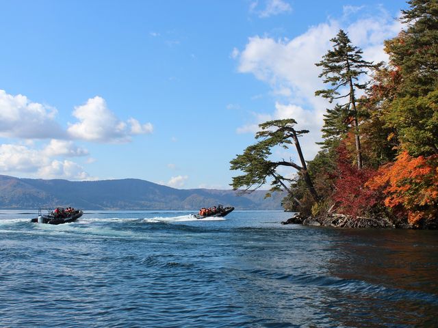 ���ʕی��_�\�a�c�΃p���[�X�|�b�g�N���[�Y