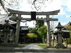 Ƃ˂̐VF_Ђւ̓eʐ^5