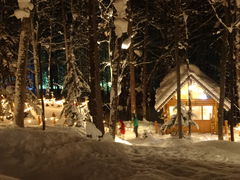 ₳̃VbsO[hujOeXvւ̓eʐ^1