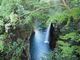 甘辛熊さんの真名井の滝の投稿写真4