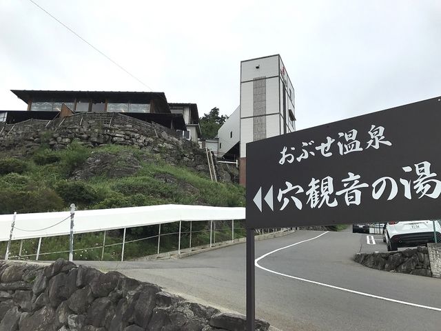 �ŔƉ���{��_���Ԃ����򌊊ω��̓�