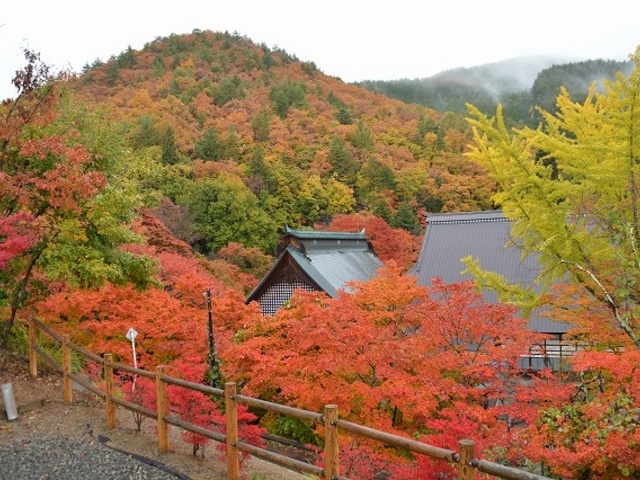 駐車場からの全景です。_霊松寺