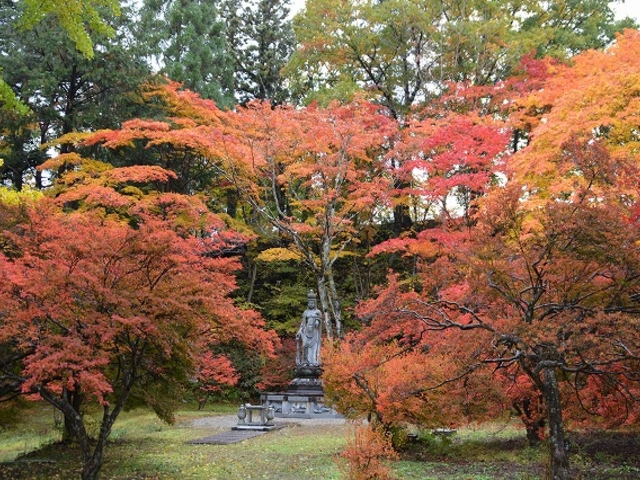 紅葉の全景です_霊松寺