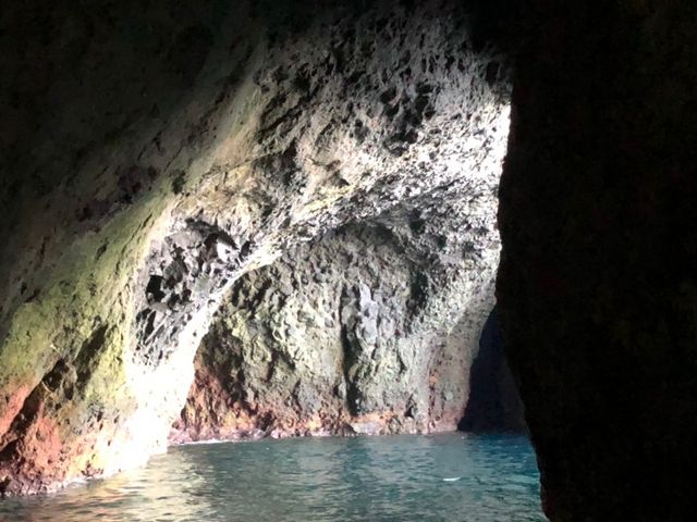 �_��I�ȕ��i�ł��B_���M�̓��A�@���{�N���[�Y