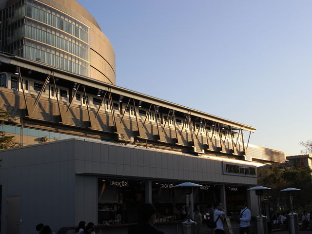 �`�[�����{�͐V�L�F�w�O_��肩����