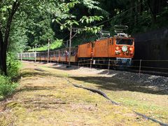 �}�L�T�g����̍������J�S���ւ̓��e�ʐ^1