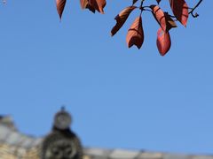 Yanwenli̐Vtւ̓eʐ^5