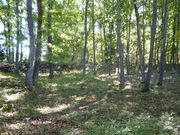 �͂ނ���̐[���ِՂ̓��e�ʐ^1