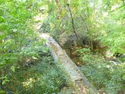 �͂ނ���̐[���ِՂ̓��e�ʐ^2