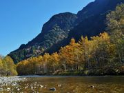 񂳂̏㍂n̓VRJ}cт̓eʐ^1