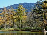 񂳂̏㍂n̓VRJ}cт̓eʐ^4