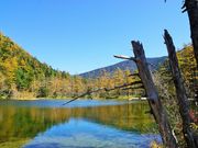 񂳂̏㍂n̓VRJ}cт̓eʐ^5