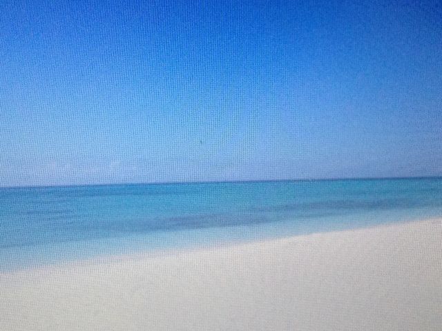 �C�[�t�r�[�`_�C�[�t�r�[�`