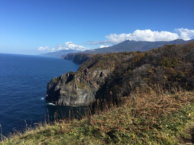 �f�R���m��������]�ށB_�V�����iSHINRA�j