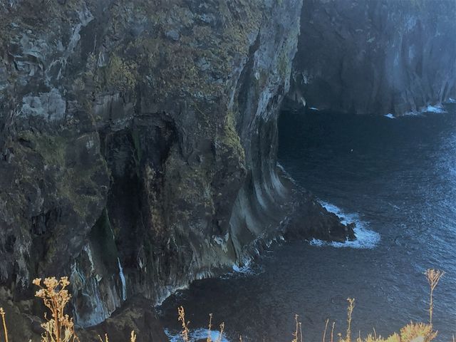 �j�̗܂̑�B_�V�����iSHINRA�j