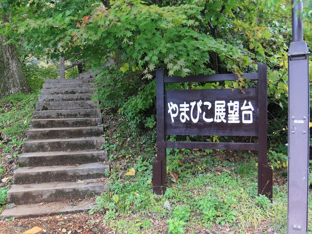 ��܂т��S����]�ޓW�]��_�R�F��