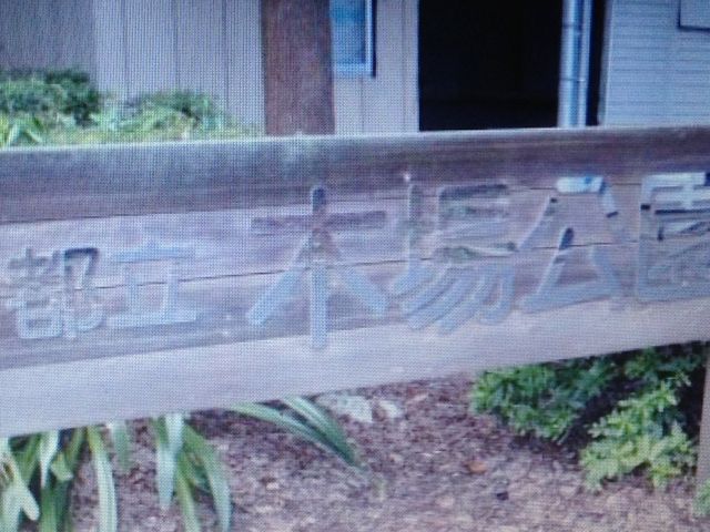 �؏����_�؏����